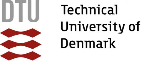 DTU Logo DTU Logo